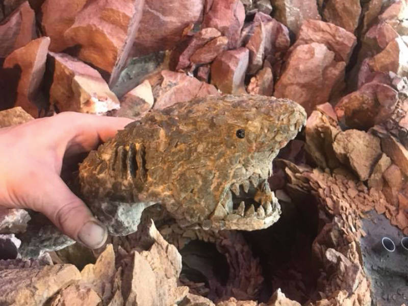 Fossielen en mineralen