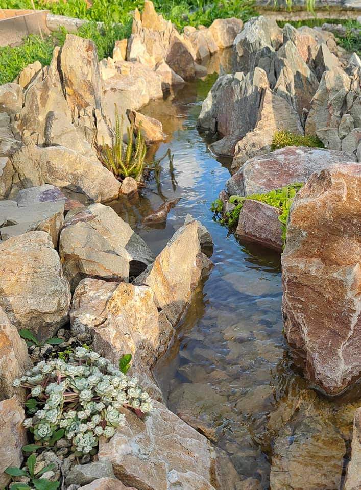 Natuur steen beekloop